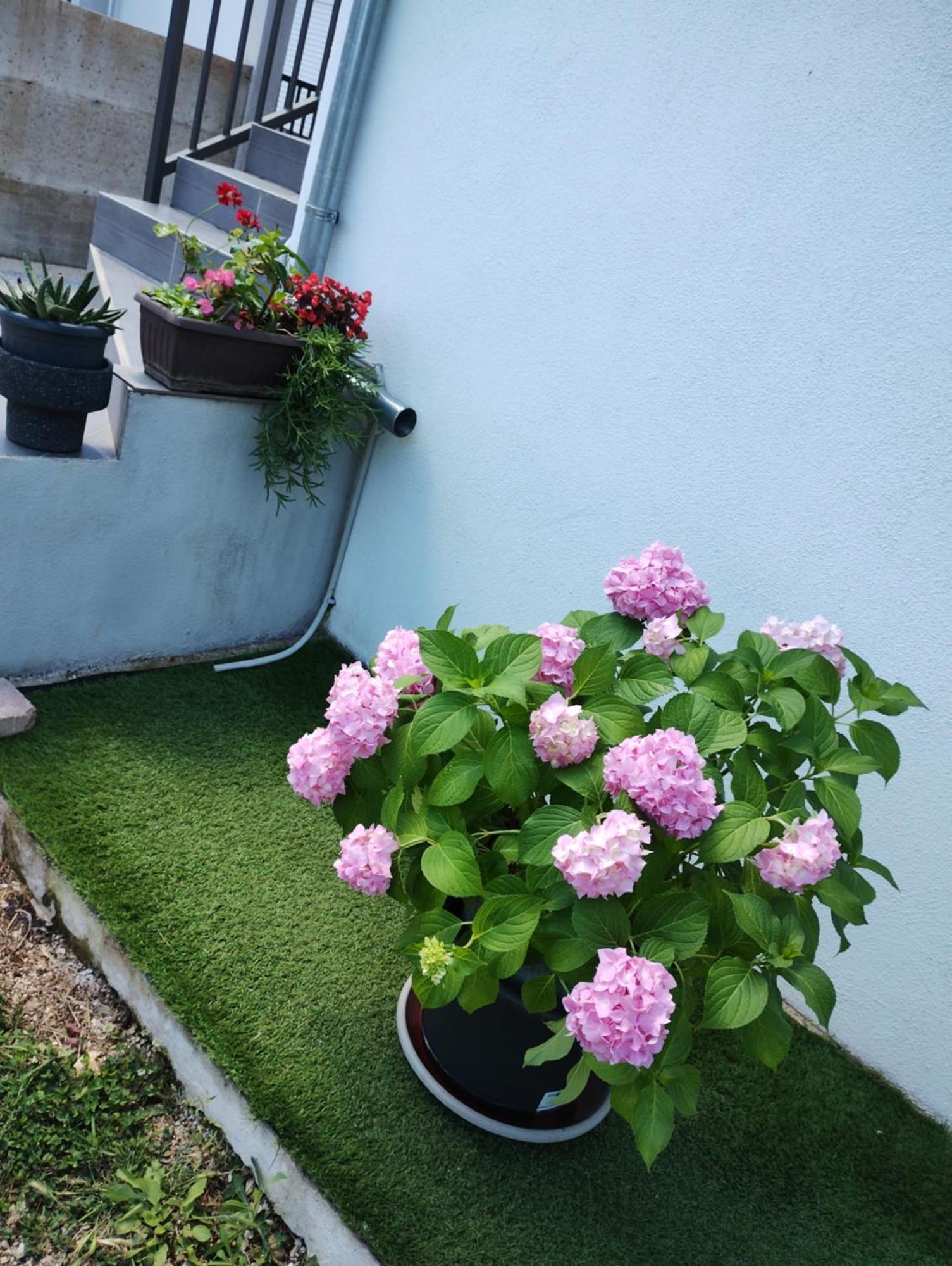 Apartman Enia Murvica  Kamer foto